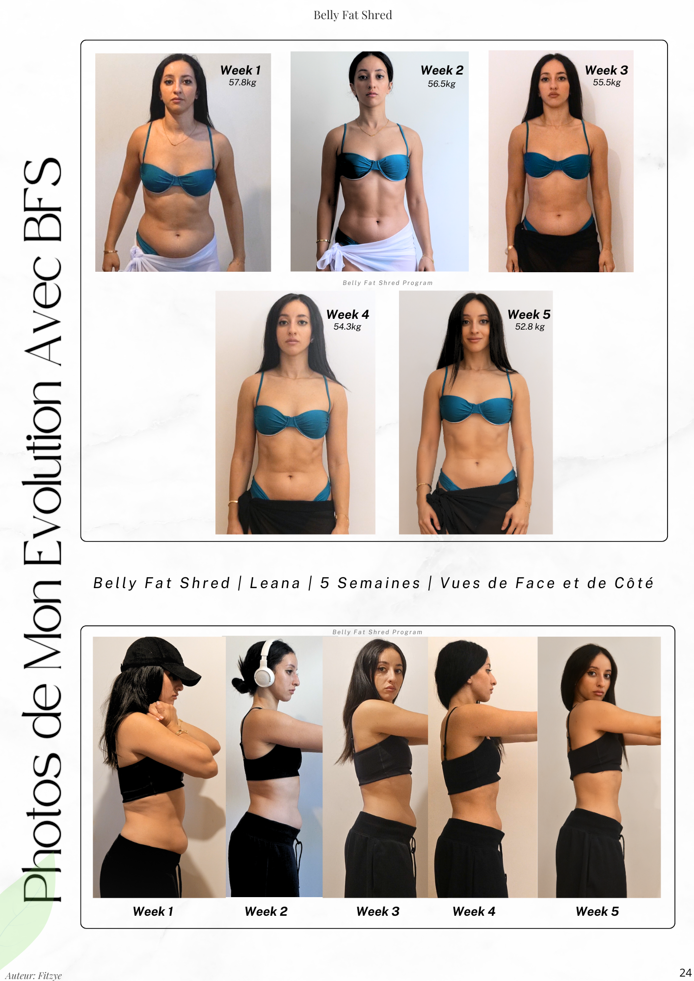 Belly Fat Shred - Français