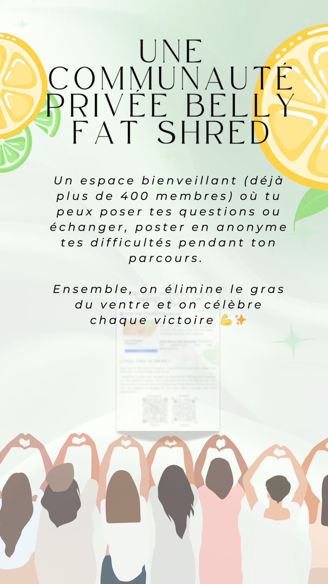 Belly Fat Shred - Français