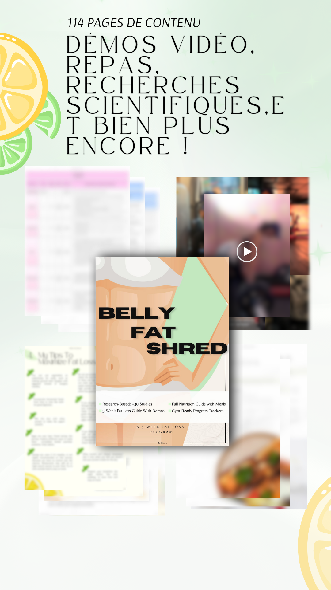 Belly Fat Shred - Français