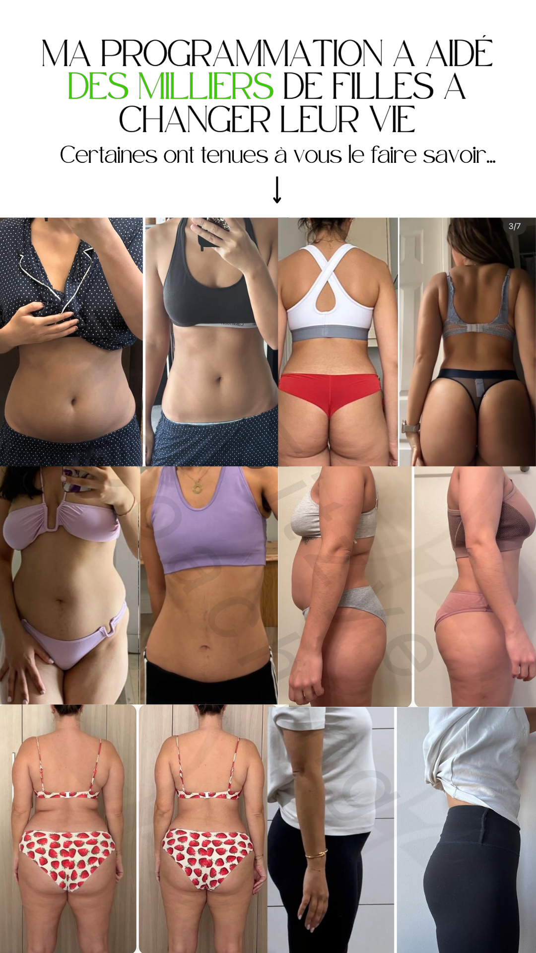Belly Fat Shred - Français